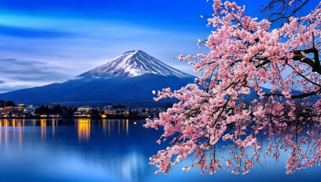 Citi Wealth’s FX Focus: The Japanese Yen